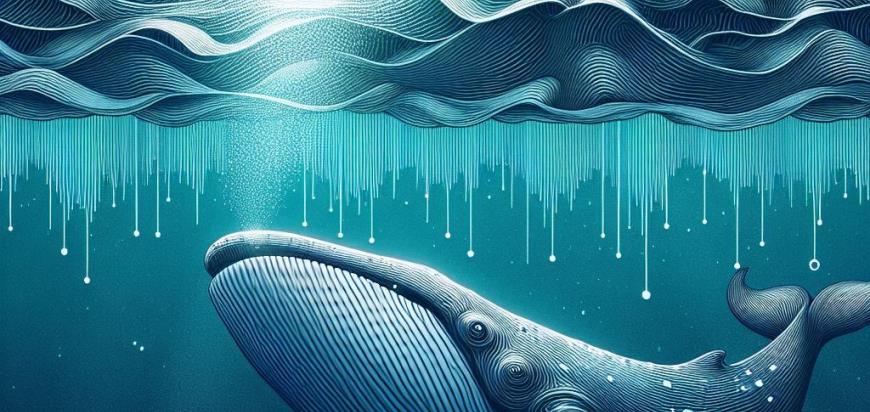 El canto de las ballenas