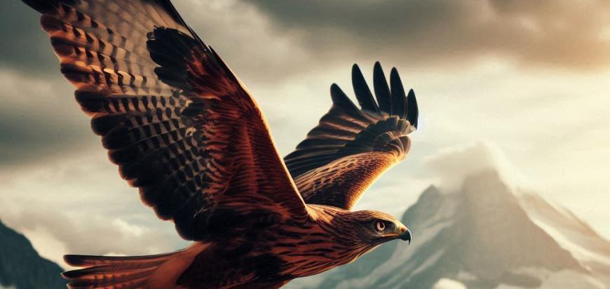 La asombrosa visión de los halcones