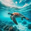 la_sorprendente_longevidad_de_las_tortugas