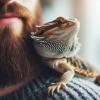el_dragon_barbudo